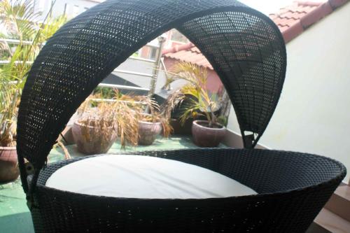 Balcony/terrace, The Magic Sponge in Kampot Balcony/terrace, The Magic Sponge in Kampot