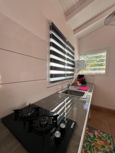 cuisine, Issa Blue Appartement Vue sur Mer in Bouillante cuisine, Issa Blue Appartement Vue sur Mer in Bouillante