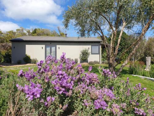 Exterior view, Cable Bay Guesthouse in Oneroa Exterior view, Cable Bay Guesthouse in Oneroa