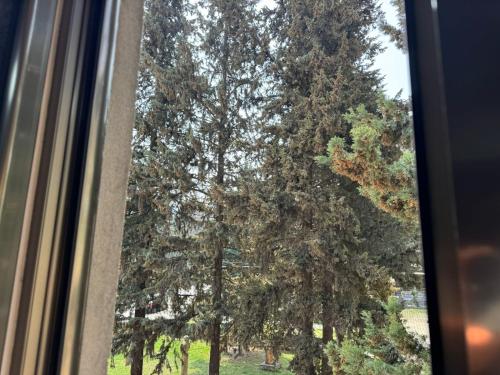 Garden, Loft Hotel Ijevan in Ijevan Garden, Loft Hotel Ijevan in Ijevan