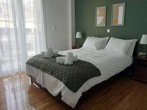 Modern 2 bedroom Apartment near Kallimarmaro and Alsos