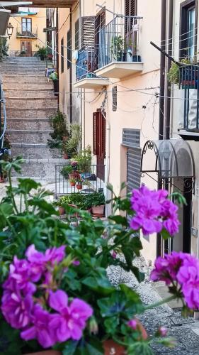 Khu vực xung quanh, Casa all'Annunziata in Termini Imerese Khu vực xung quanh, Casa all'Annunziata in Termini Imerese