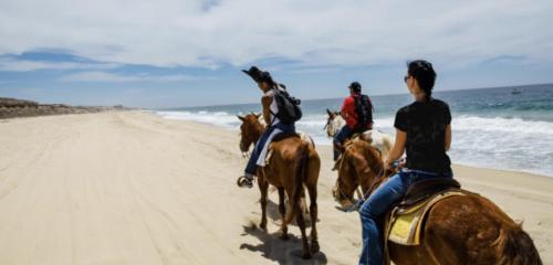 Lovaglás, Tropical Retreat Close to Beach in Grover Beach Lovaglás, Tropical Retreat Close to Beach in Grover Beach