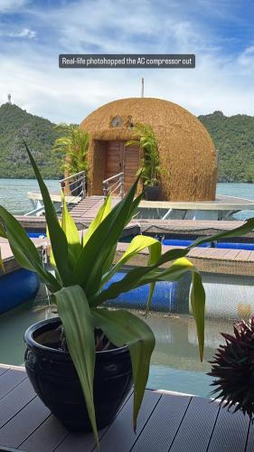 Coconest ONE Langkawi in Ayer Hangat Coconest ONE Langkawi in Ayer Hangat