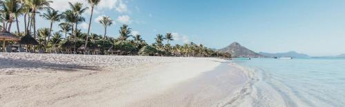 Strand, Dauphin Gourmand in Flic En Flac Strand, Dauphin Gourmand in Flic En Flac