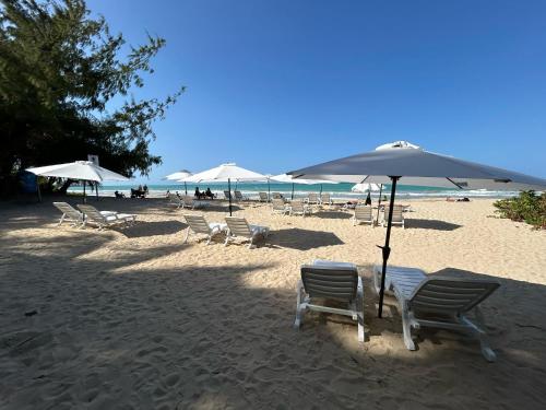 Programlehetőségek, Bali Hotel Adults Only Isla Verde, a Trademark by Wyndham in San Juan Programlehetőségek, Bali Hotel Adults Only Isla Verde, a Trademark by Wyndham in San Juan