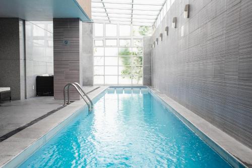 Swimming pool, Casa Inn Galerias Celaya in Celaya Swimming pool, Casa Inn Galerias Celaya in Celaya