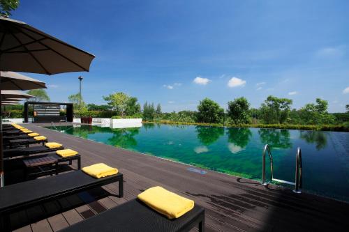 สระว่ายน้ำ, อวานี ขอนแก่น โฮเทล แอนด์ คอนเวนชั่นเซ็นเตอร์ (Avani Khon Kaen Hotel & Convention Centre) in ขอนแก่น สระว่ายน้ำ, อวานี ขอนแก่น โฮเทล แอนด์ คอนเวนชั่นเซ็นเตอร์ (Avani Khon Kaen Hotel & Convention Centre) in ขอนแก่น
