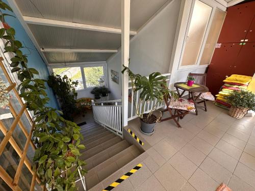 Crazy House Hostel in Pula Crazy House Hostel in Pula