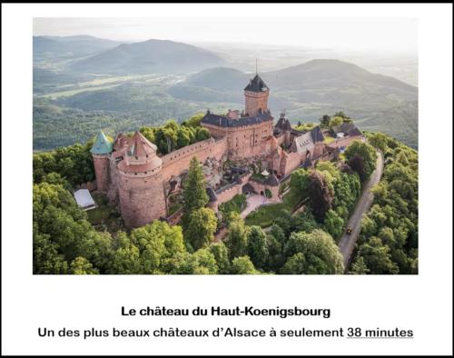 Le Solaris 3 chambres avec 2 grands lits et 3 simples in Lingolsheim Le Solaris 3 chambres avec 2 grands lits et 3 simples in Lingolsheim
