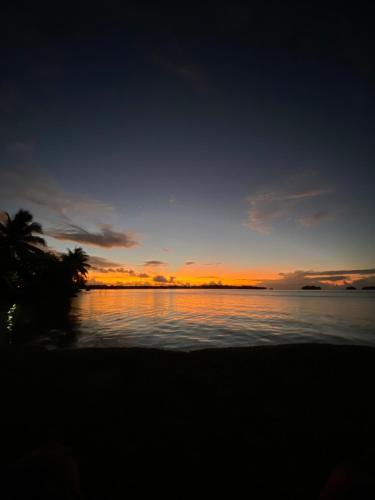 شاطئ, Bora Bora Vairupe lodge near مطار Bora Bora شاطئ, Bora Bora Vairupe lodge near مطار Bora Bora