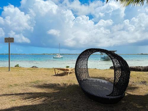 Charming cozy beachfront studio with parking and wifi in Vaitape Charming cozy beachfront studio with parking and wifi in Vaitape