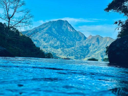 ท่าเเพ ฟอเรสต์ รีสอร์ต near Karom Waterfall ท่าเเพ ฟอเรสต์ รีสอร์ต near Karom Waterfall