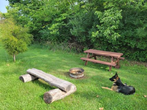 Cozy Tiny House on Working Farm, for Fun Glamping Trips in Kentucky in Sparta Cozy Tiny House on Working Farm, for Fun Glamping Trips in Kentucky in Sparta