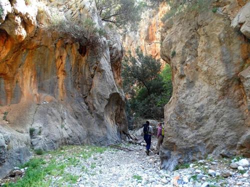 This photo about Dimitra Apartments shared on HyHotel.com