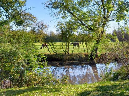 Maison restaurée à la ferme équestre avec terrasse close et animaux admis - FR-1-497-239 (Maison restauree a la ferme equestre avec terrasse close et animaux admis - FR-1-497-239) in La Ferte-Frenel Maison restaurée à la ferme équestre avec terrasse close et animaux admis - FR-1-497-239 (Maison restauree a la ferme equestre avec terrasse close et animaux admis - FR-1-497-239) in La Ferte-Frenel