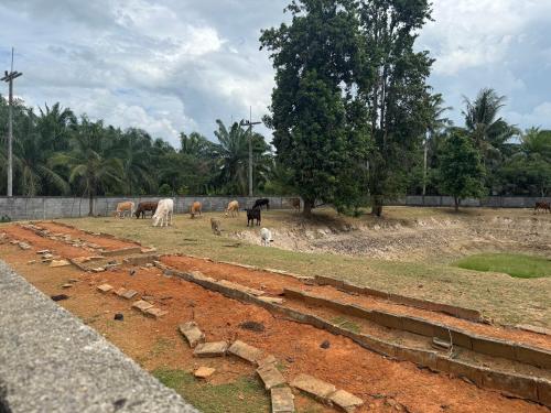 Sai Rung Farmstay สายรุ้ง ฟาร์มสเตย์ in Nuea Klong Sai Rung Farmstay สายรุ้ง ฟาร์มสเตย์ in Nuea Klong
