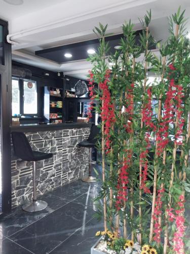 อาหารและเครื่องดื่ม, Montenegro Hotel in เอยูป อาหารและเครื่องดื่ม, Montenegro Hotel in เอยูป