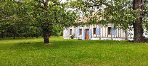 Riban in Sabres Riban in Sabres