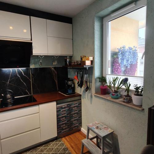 Współczesny Apartament Gdańsk (Wspolczesny Apartament Gdansk) in Borkowo Lostowickie Współczesny Apartament Gdańsk (Wspolczesny Apartament Gdansk) in Borkowo Lostowickie