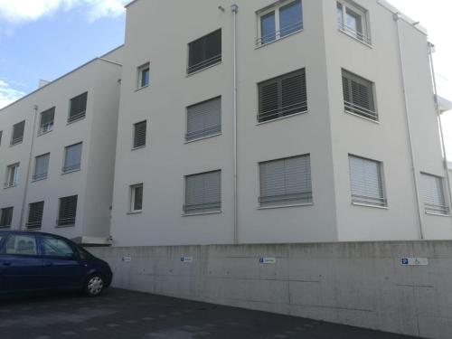 Harmony in the Limmat Close to Zurich in Dietikon Harmony in the Limmat Close to Zurich in Dietikon