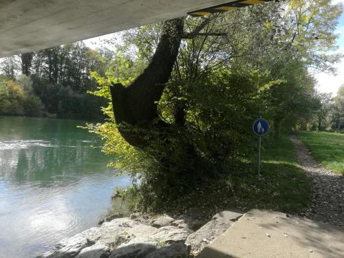 Omgeving, Harmony in the Limmat Close to Zurich in Dietikon Omgeving, Harmony in the Limmat Close to Zurich in Dietikon