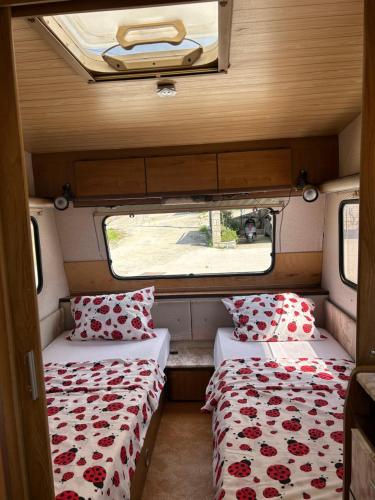 A little paradise in Radanovici A little paradise in Radanovici