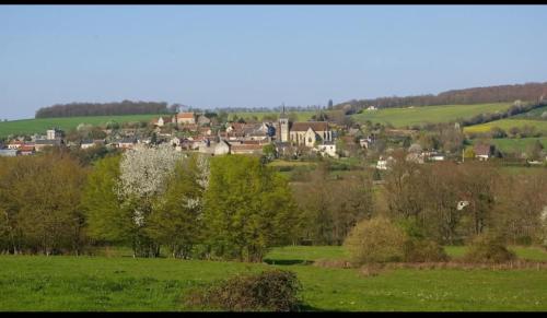 La Petite Sancerroise in Jars La Petite Sancerroise in Jars
