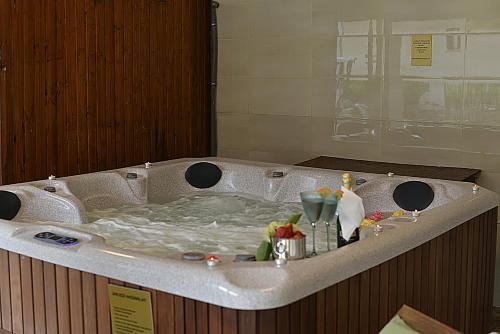 Gyula Wellness Villa in Ujvaros Gyula Wellness Villa in Ujvaros