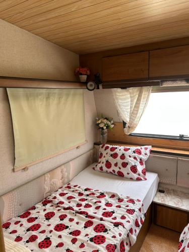 A little paradise in Radanovici A little paradise in Radanovici