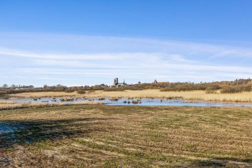 A környék, tulipanhuset in Ribe városközpont A környék, tulipanhuset in Ribe városközpont