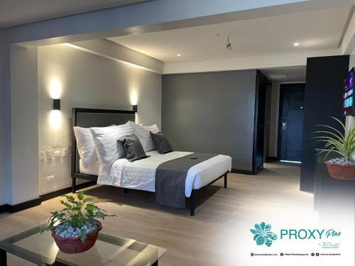 PROXY Plus Pangasinan in 阿拉明諾斯市 PROXY Plus Pangasinan in 阿拉明諾斯市