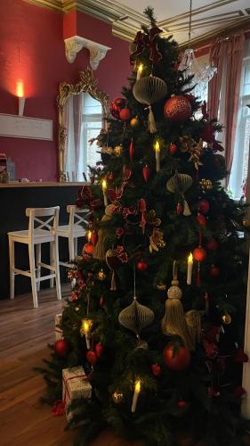 Hostel Lybeer Bruges in Bruges Hostel Lybeer Bruges in Bruges