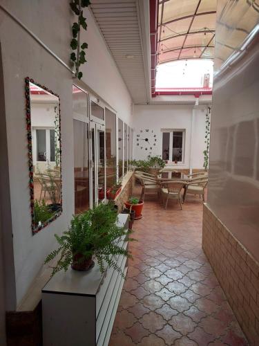 Hostel.Uz in Samarkand Hostel.Uz in Samarkand