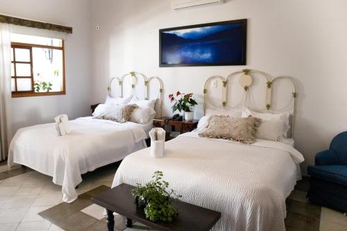 Hotel Don Alfonso in 우니베르시다드 Hotel Don Alfonso in 우니베르시다드