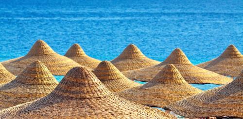 منظر, Hotel Scandinavia in Mamaia Beachfront منظر, Hotel Scandinavia in Mamaia Beachfront