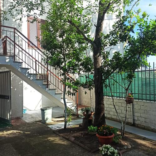 Kert, Villa Maresca in Lido Delle Nazioni Kert, Villa Maresca in Lido Delle Nazioni