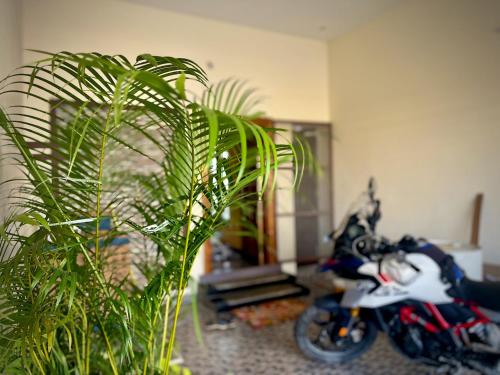 Bejárat, Ulala Hostels in Tiruvannamalai Bejárat, Ulala Hostels in Tiruvannamalai