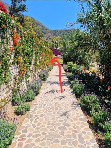 Luxury Villa de Lalo Rooftop Lake View Nature 1min walk Beach-Brandnew in 聖克魯斯拉拉古納 Luxury Villa de Lalo Rooftop Lake View Nature 1min walk Beach-Brandnew in 聖克魯斯拉拉古納