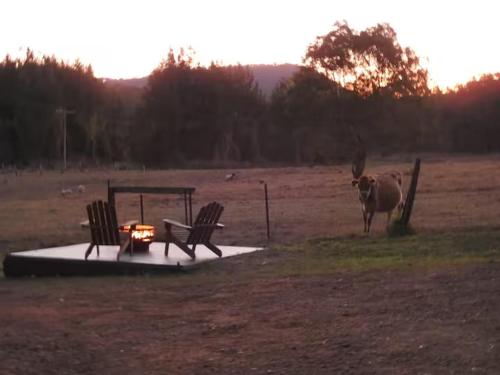 A környék, Farm Stay - 2 Bedroom cottage in Highfields A környék, Farm Stay - 2 Bedroom cottage in Highfields