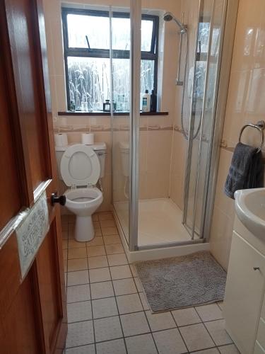 Mindful gentle soul in Summerhill Mindful gentle soul in Summerhill