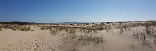 A környék, Mobil home climatisé récent 2 salles d'eau, 2 WC à SIBLU Bonne Anse plage (Mobil home climatise recent 2 salles d'eau, 2 WC a SIBLU Bonne Anse plage) in La Tremblade A környék, Mobil home climatisé récent 2 salles d'eau, 2 WC à SIBLU Bonne Anse plage (Mobil home climatise recent 2 salles d'eau, 2 WC a SIBLU Bonne Anse plage) in La Tremblade