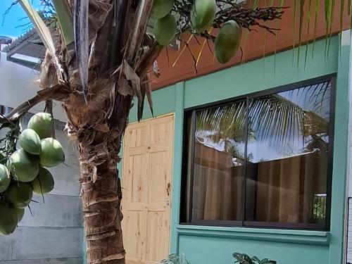 Apartamento Refugio entre ríos (Apartamento Refugio entre rios) in 薩拉皮奇 Apartamento Refugio entre ríos (Apartamento Refugio entre rios) in 薩拉皮奇