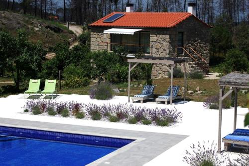 Orange Olives - Quinta Chao de Galizes in Oliveira Do Hospital Orange Olives - Quinta Chao de Galizes in Oliveira Do Hospital