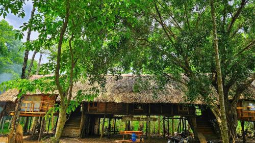 Cat Tien Eco Lodge in Nam Cat Tien Cat Tien Eco Lodge in Nam Cat Tien