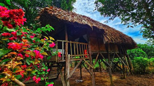 Cat Tien Eco Lodge in Nam Cat Tien Cat Tien Eco Lodge in Nam Cat Tien
