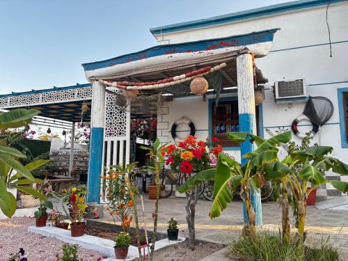 SalemFish Guest House in Ras Al Hadd SalemFish Guest House in Ras Al Hadd
