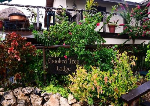 Сад, CROOКED TREE LODGE Belize in Crooked Tree Сад, CROOКED TREE LODGE Belize in Crooked Tree