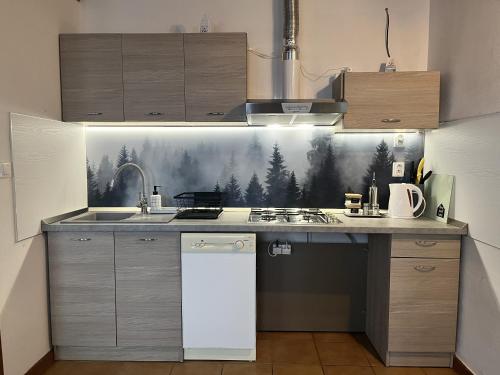 Konyha, Penzión Ružbaský (Penzion Ruzbasky) in Felsőerdőfalva Konyha, Penzión Ružbaský (Penzion Ruzbasky) in Felsőerdőfalva