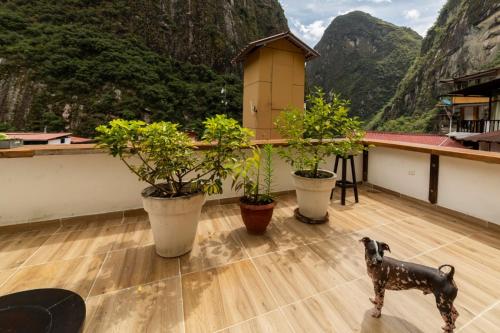 Gringo Bill's Boutique Hotel in Machu Picchu Gringo Bill's Boutique Hotel in Machu Picchu